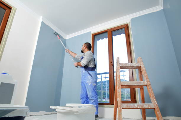 Detroit Lakes, MN Painting & Drywall Installation Company