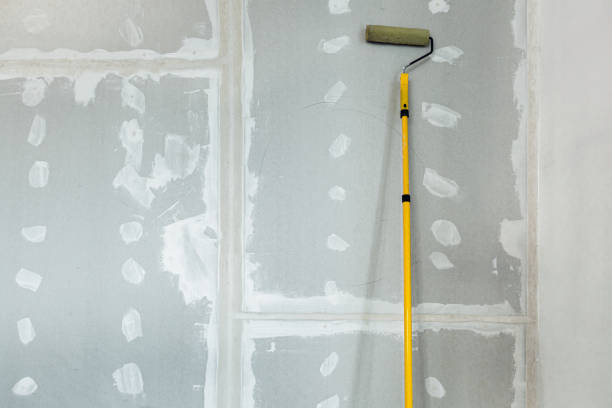 Best Water-Damaged Drywall Repair  in Detroit Lakes, MN